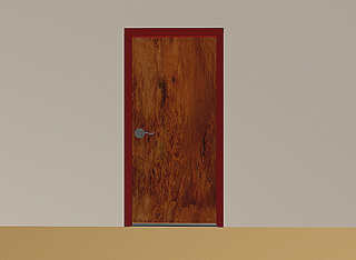 Door with lever handle