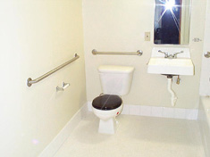 nychatoilet.jpg (12164 bytes)