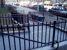 nychaedge.jpg (32534 bytes)