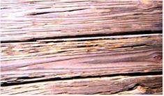 wood.jpg (25109 bytes)