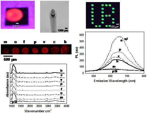 chem_sensors_2