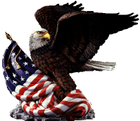 U.S. Eagle and Flag