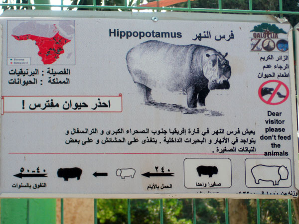 Pygmy Hippopotamus sign at the Qalqilya Zoo. Photo by Irus Braverman