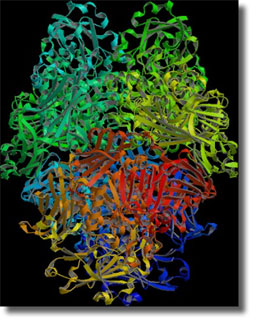 Glycosyl Transfer