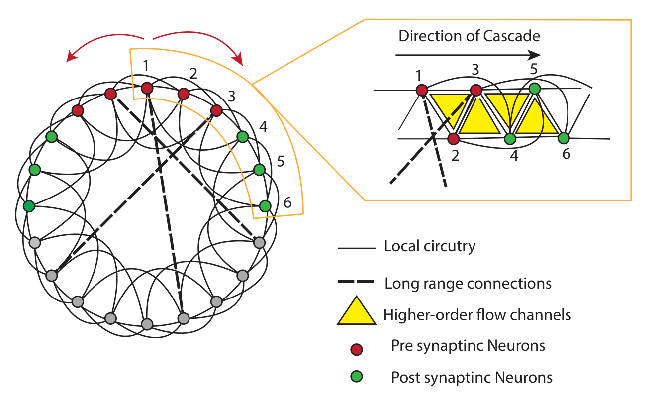 Neuronal Cascades 