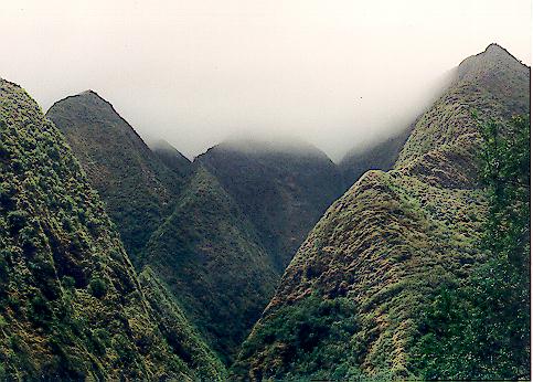 IAO1.JPG (48455 bytes)