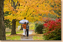 Autumn Walk -- click to see original from Discover NE site