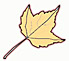 leaf-yellow