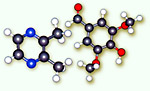 sugar molecules related to maple sugar