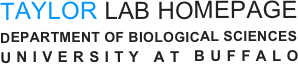 TAYLOR LAB HOMEPAGE 
DEPARTMENT OF BIOLOGICAL SCIENCES
UNIVERSITY AT BUFFALO