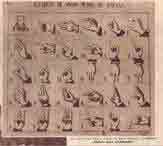 Ponce de Leon's alphabet
