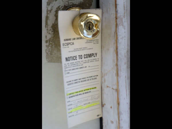 Notice to comply, placed on the door of person suspected of not providing shelter for his dog. Photo by Irus Braverman, May 17, 2012