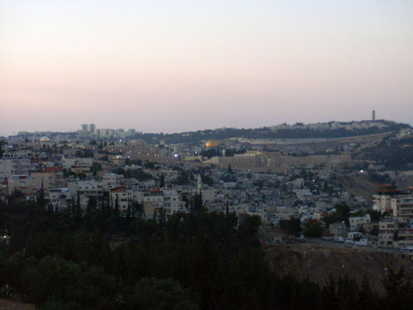 View of Jerusalem's Old City, Abu Tor, and the Green Line from the south. Photo by Irus Braverman