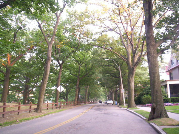 The Natural Grid, Brookline Massachusetts. Photo by Irus Braverman