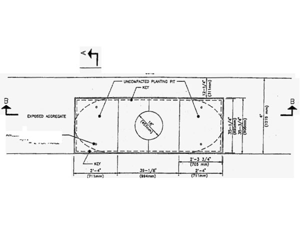 'Details of Hardscape Tree Surround.' Courtesy of the City of Vancouver Engineering Service