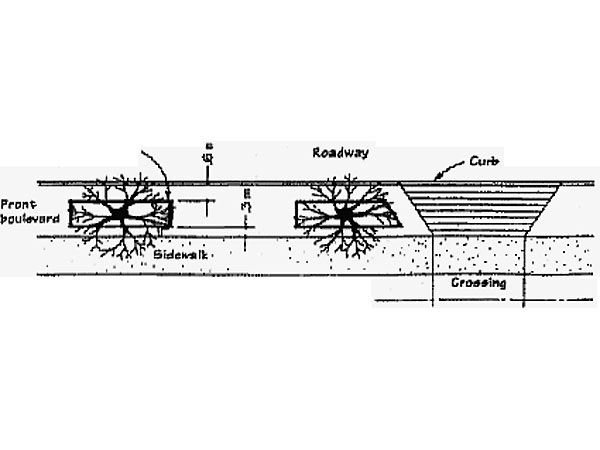 'Protection of boulevard trees adjacent to construction sites,' the City of Vancouver Engineering Services Guidelines. Courtesy of the City of Vancouver