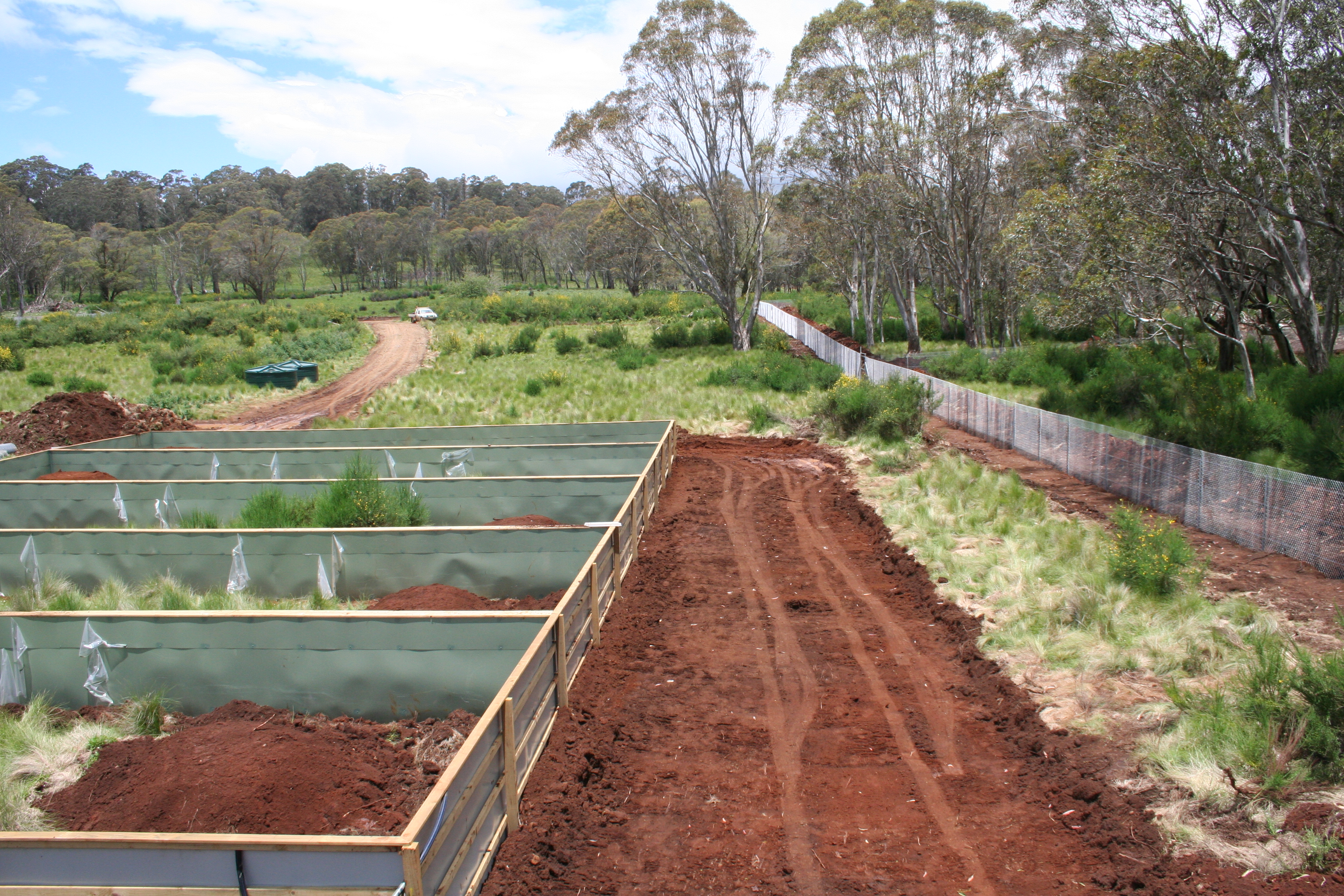 Tasmanian Devil Enclosures