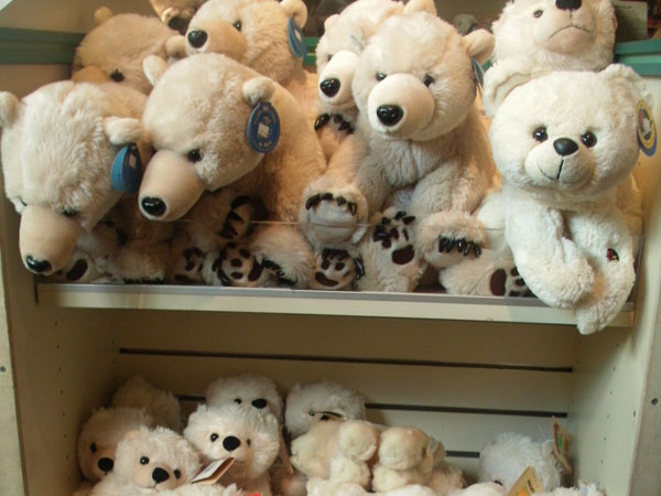 Stuffed bears for sale at Buffalo Zoo. Photo by Irus Braverman