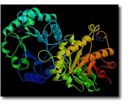 Proton Transfer