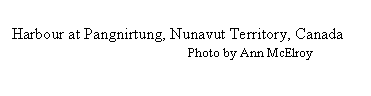 Text Box: Harbour at Pangnirtung, Nunavut Territory, Canada
                                                     Photo by Ann McElroy
