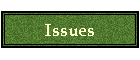 Lecture 5 - Issues