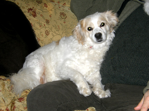 Photo of Ashley no.1