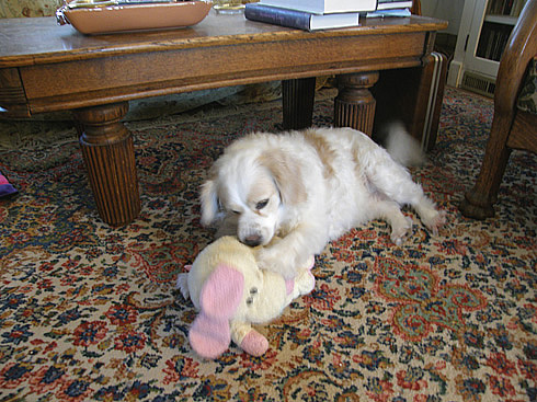 Photo of Ashley no.2