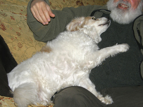 Photo of Ashley no.3