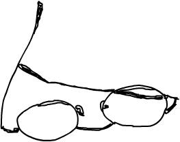 glasses