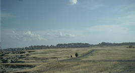 picture taken by C. Evans in S. Dakota usa (near Badlands National Park) 2006