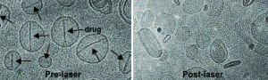 PoP-liposomes