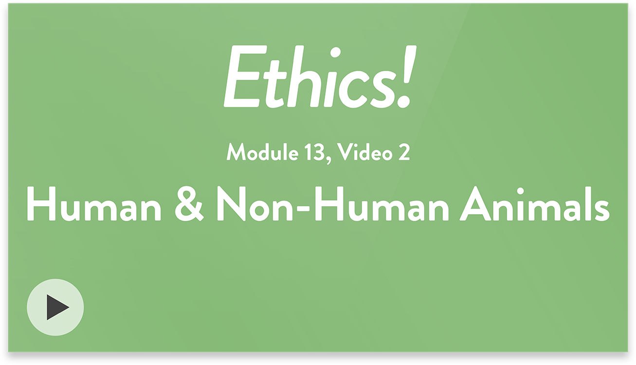 Ethics! Module 13, Video 2. Human and Non-Human Animals.