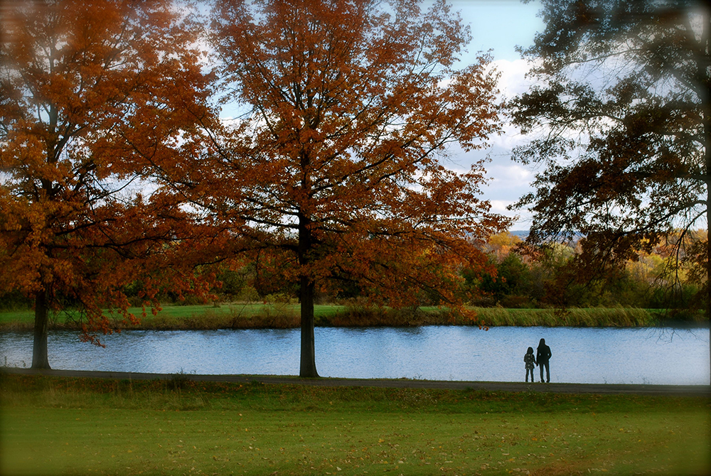 Knox Farm State Park