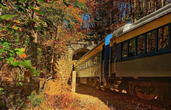 Fall Foliage Train Ride