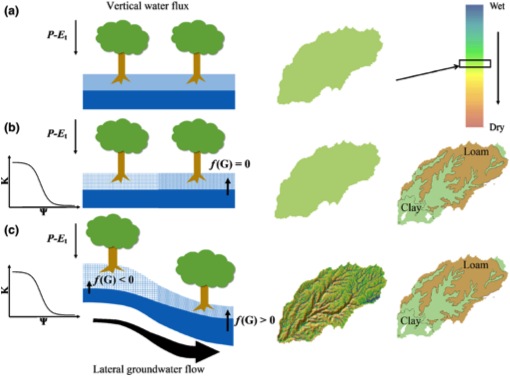 Spatial variability of hydraulics