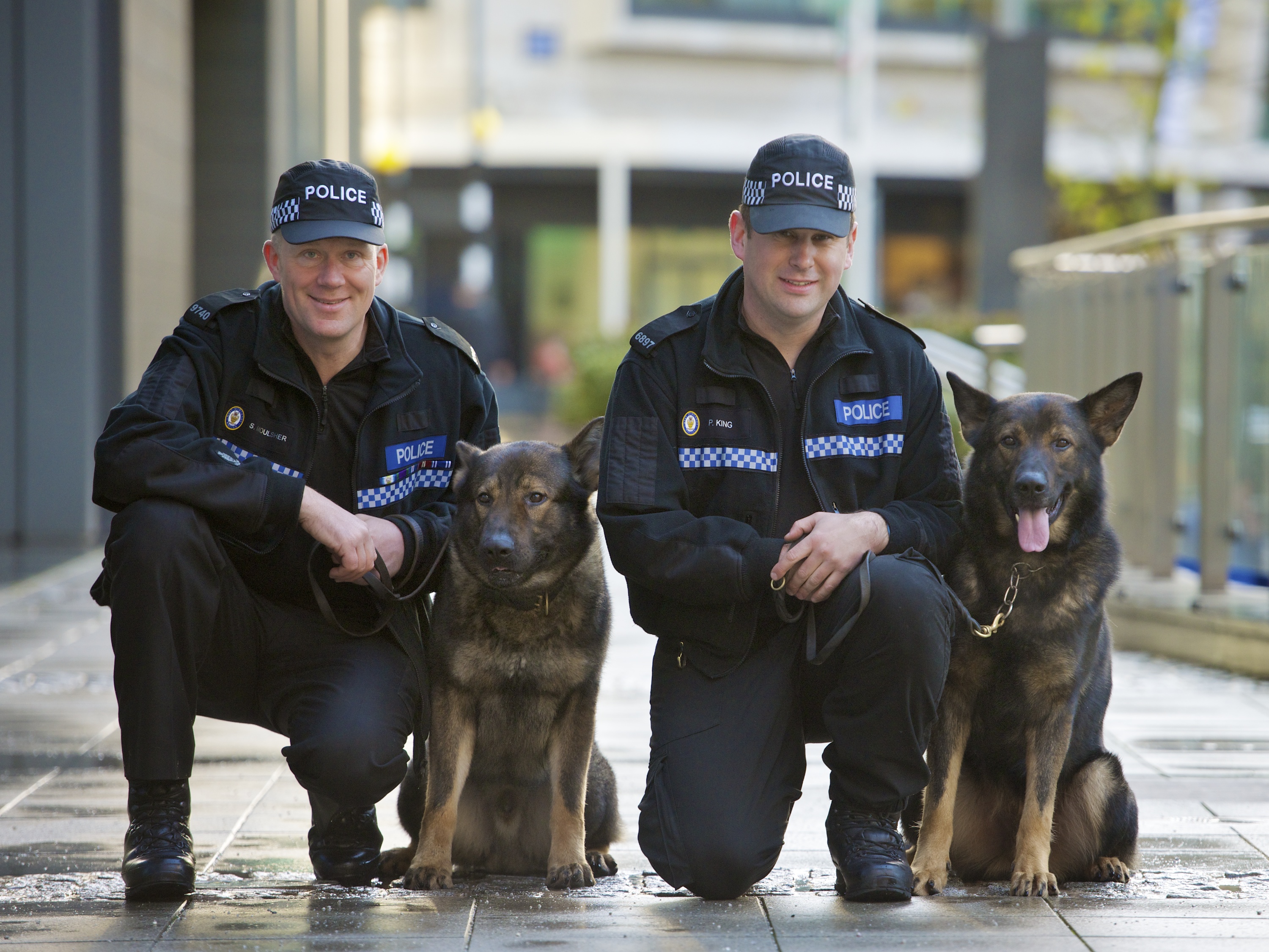 "Dog handlers receive awards" 'Police Officers and their dogs being recognized for a successful drug bust and protecting guests in a hotel from three knifemen.' Photo courtesy of West Midlands Police (Flickr: http://www.flickr.com/photos/westmidlandspolice/)