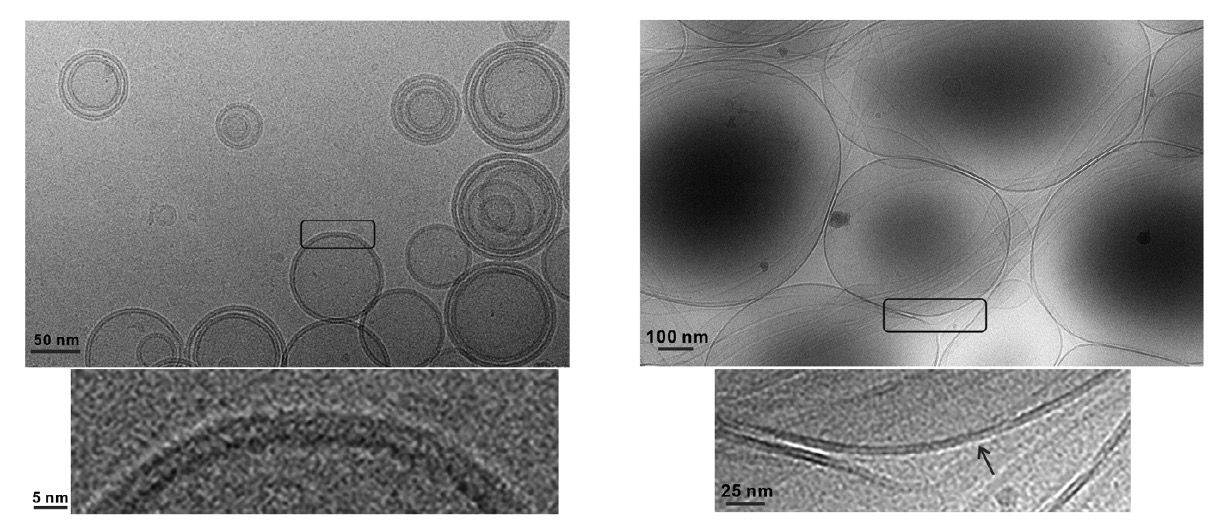 Liposome lypholization