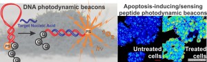 Photodynamic molecular beacons