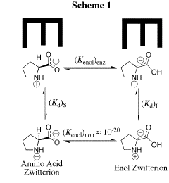 Enolates