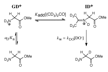 Enolates