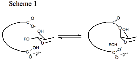 Glycosyl Transfer