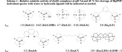 Phosphate Ester Hydrolysis