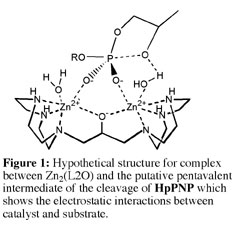 Hydrolysis