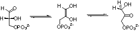 Proton Transfer