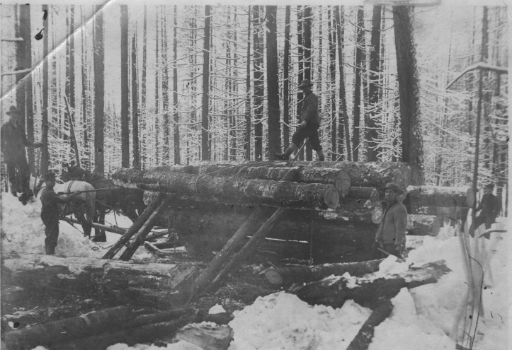 button on logs